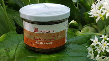 Salade d’escargots ail des ours - 180g