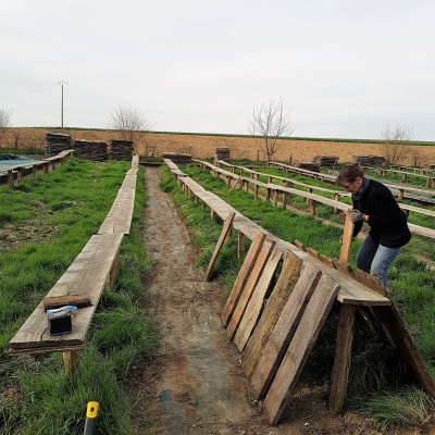 La ferme - au printemps - l’installation des parcs