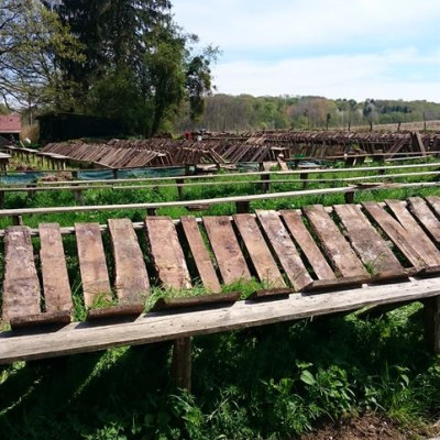 La ferme - au printemps - l’installation des parcs