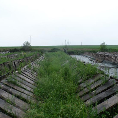 La ferme - au printemps - les naissains