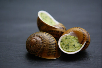 Escargots FRAIS en coquille au beurre d'ail et persil - 1 douzaine